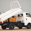 Hyundai tips bakkie production scale Hyundai tipper
