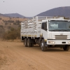 FAW to reap what it sows at NAMPO 2016 FAW Nampo